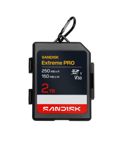 Alternative view of SANDISK Memory Card Case - 2TB Edition