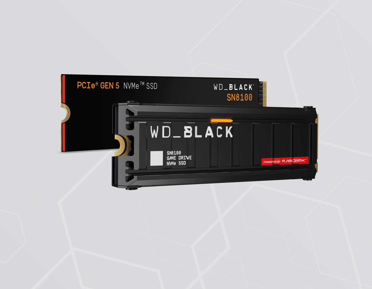 WD BLACK SN8100 SSD